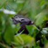 Private gorilla sighting through natural forest foliage in luxury Uganda safari experience