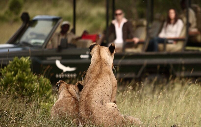 11 Days Family Private Safari Adventure