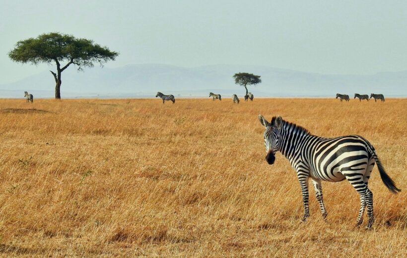 7 Days Kenya Highlands Luxury Tour